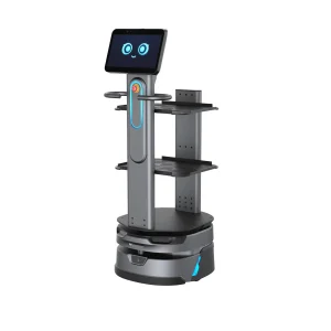Robot porteur autonome OrionStar CarryBot 2 — Bonobot Toulouse